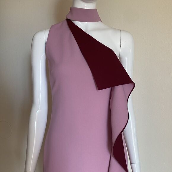 Cushnie Et Ochs Pink and Maroon Ruffle One Shoulder Midi Dress Size 2 - Picture 6 of 15